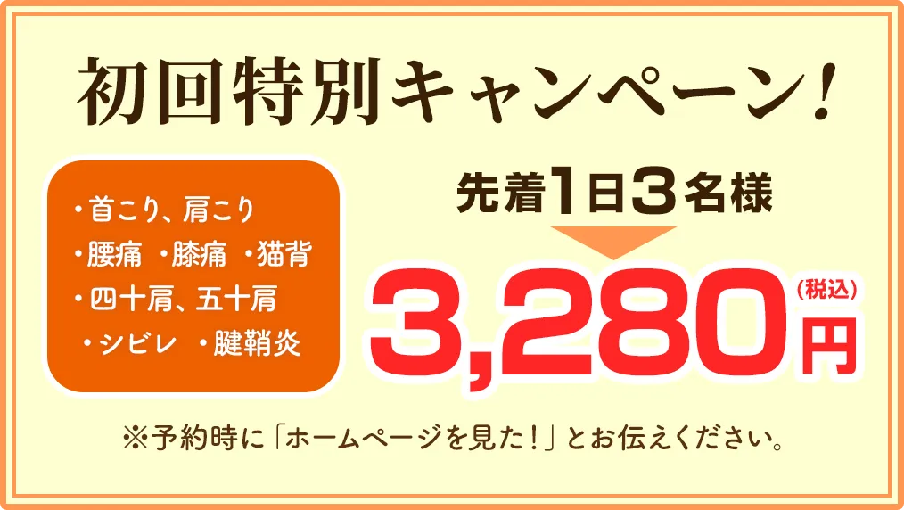 初回特別キャンペーン！ 先着1日3名様 2,980円（税込）